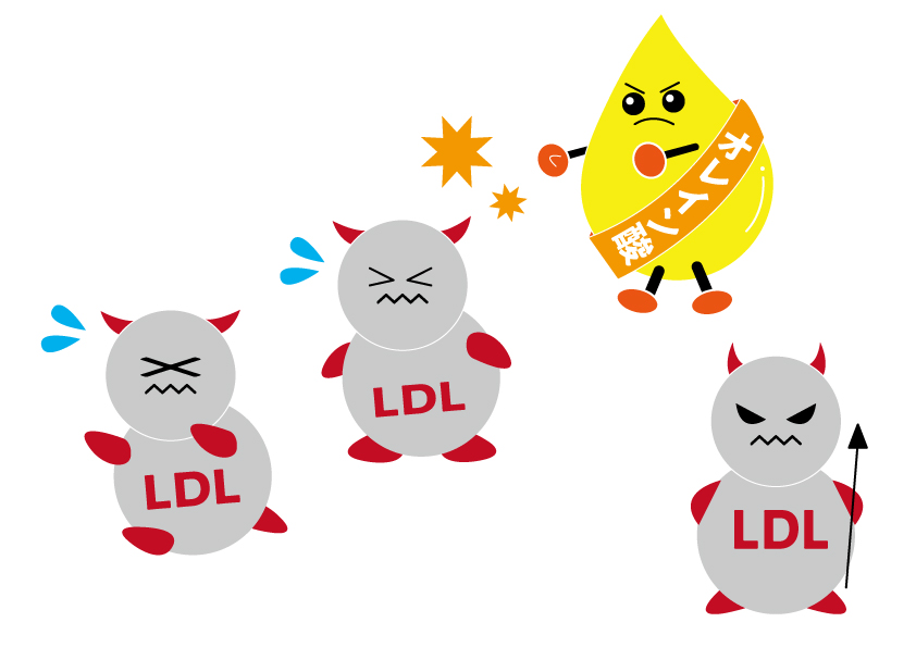 LDLとオレイン酸